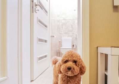 Beltéri ajtó referencia fotózás | Jola